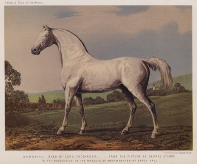 Nambrino, vyšlechtěno lordem Grosvenorem, v majetku markýze z Westminsteru, v Eaton Hall (barevné lito) od George (after) Stubbs