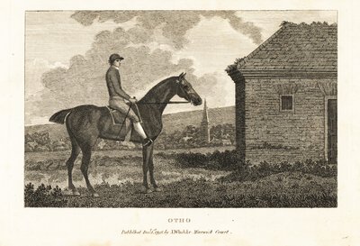 Portrét plnokrevného závodního koně Otho od George (after) Stubbs