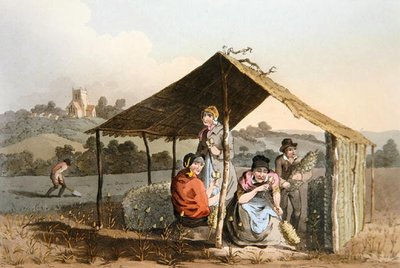 Teazle Field, z ‚Costume of Yorkshire‘ vyrytý Robertem Havellem (1769-1832) 1814 (barevně lito) od George (after) Walker
