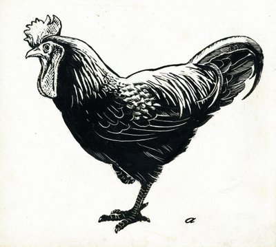 The Hen, 50. léta (škrabka) od George Adamson