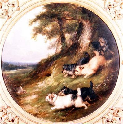 Teriéři Králíkování od George Armfield