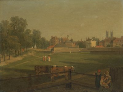 Západní pohled na část Westminster a Bird Cage Walk, z Mill House (olej na panelu) od George Arnald