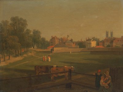 Západní pohled na část Westminster a Bird Cage Walk pořízený z Mill House..., od George Arnald
