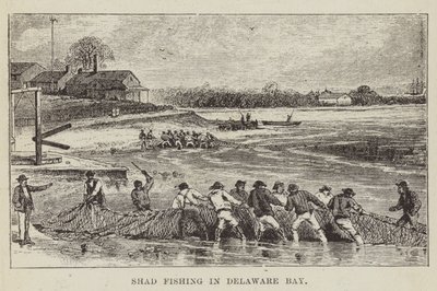 Shad Fishing v Delaware Bay od George Augustus Sala