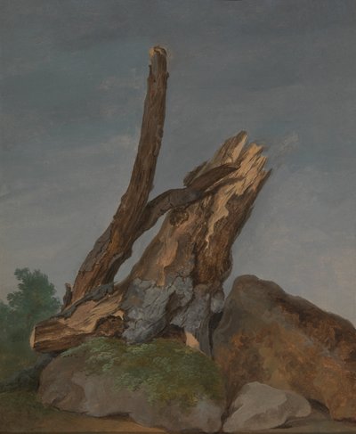 Studium hornin a větví od George Augustus Wallis