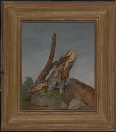 Studium hornin a větví od George Augustus Wallis