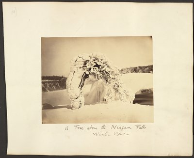 Strom nad Niagarskými vodopády od George Barker