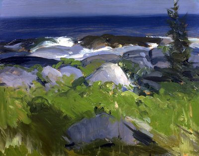 Pobřeží pokryté vinnou révou - ostrov Monhegan od George Bellows