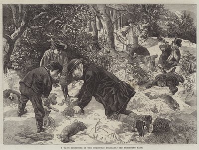 Celodenní fretkování o vánočních svátcích od George Bouverie Goddard