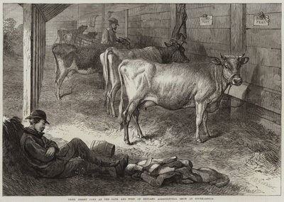 Cena Jersey Cows na Bath and West of England Agricultural Show v Southamptonu od George Bouverie Goddard