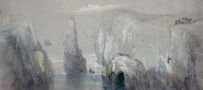 Pohled na Flamborough Head, ukazující skupinu mužů sbírajících racčí vejce od George Bryant Campion
