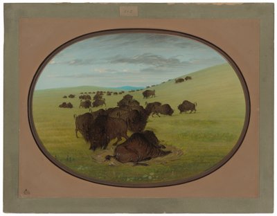 Buffalo Wallow od George Catlin