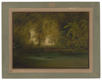 Laguna na horní Amazonce od George Catlin