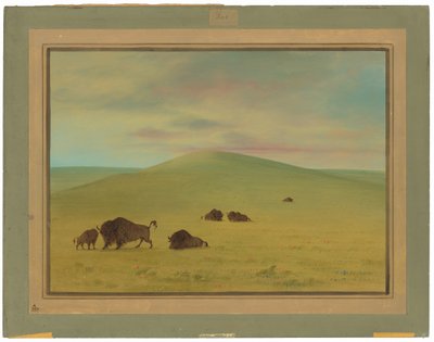 Americká pastvina - Prairies of Platte od George Catlin