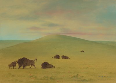 Americká pastvina - Prairies of the Platte, 18611869. od George Catlin