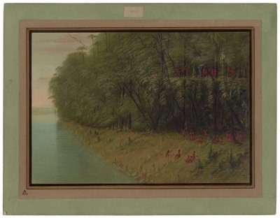 Amazonský prales - Pohled na břeh od George Catlin