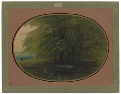 Indiánská vesnice - Pobřeží Amazonky od George Catlin
