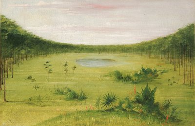 Krásná savana v borovicovém lese na Floridě od George Catlin