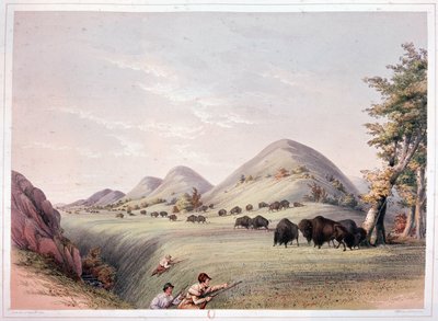 Bison Hunt od George Catlin