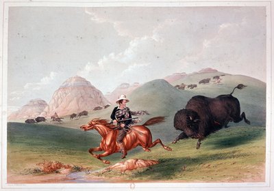 Bison Hunt v Severní Americe - litografie Georges Catlin od George Catlin