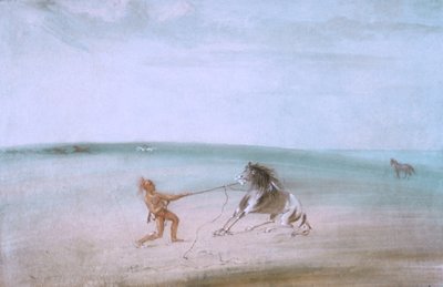 Rozbití divokého koně od George Catlin