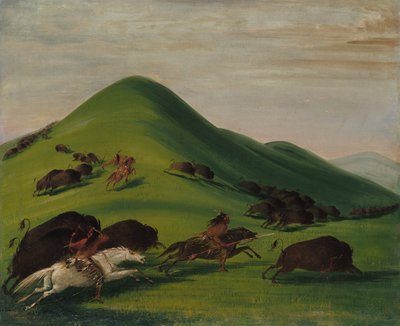 Buffalo Chase nad Prairie Bluffs od George Catlin