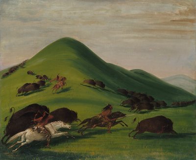 Buffalo Chase over Prairie Bluffs, 1832-1833. od George Catlin