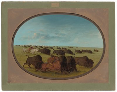 Buffalo Chase, s nehodami od George Catlin