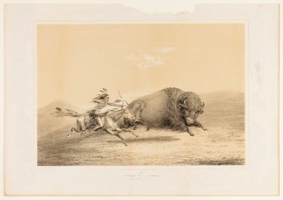 Buffalo Hunt, Chase - ne. 5 od George Catlin