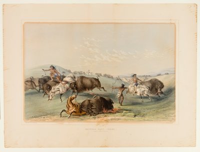 Buffalo Hunt, Chase No. 7 od George Catlin