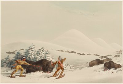 Lov bizonů na sněžnicích od George Catlin