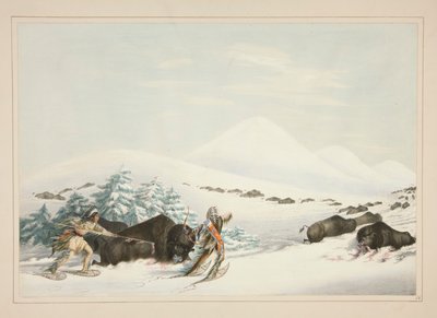 Buffalo Hunt, Na sněžnicích, pl. 15 z portfolia severoamerických indiánů od George Catlin