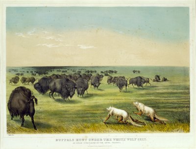 Lov bizonů pod kůží bílého vlka od George Catlin