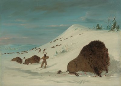 Buffalo Lancing ve sněhových závějích - Sioux, 18611869. od George Catlin