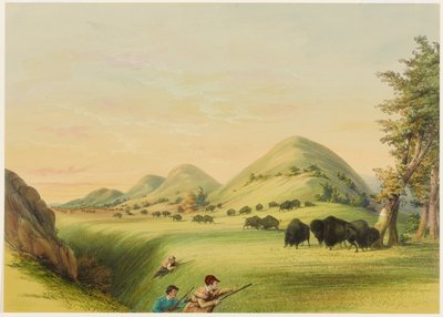 Lov bizonů, přibližování v rokli od George Catlin