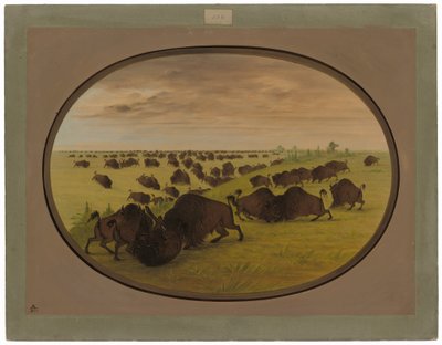 Býci bojují od George Catlin