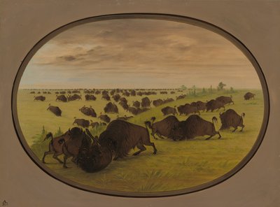 Býčí zápasy, 18611869. od George Catlin