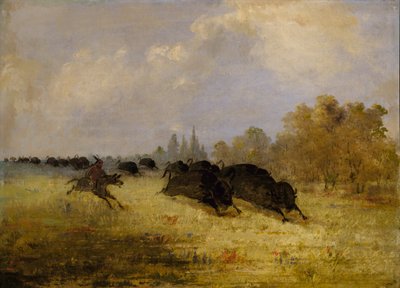 Caddo Indians Chasing Buffalo, Cross Timbers, Texas od George Catlin