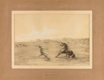 Chytání divokého koně - ne. 4 od George Catlin