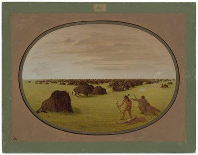 Catlin a indický útočící buvol od George Catlin
