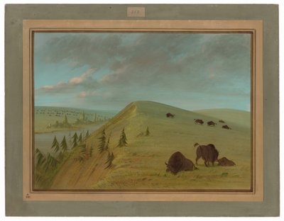 Cedar Bluffs od George Catlin