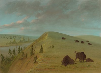 Cedar Bluffs, 18611869. od George Catlin