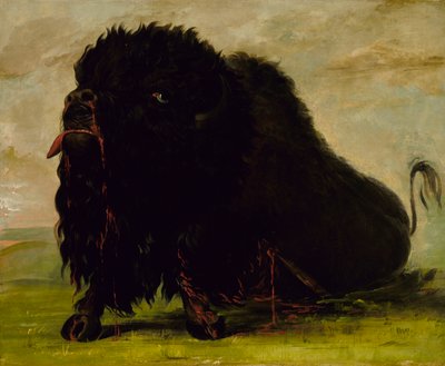 Umírající buvol, výstřel šípem, 1832-1833. od George Catlin