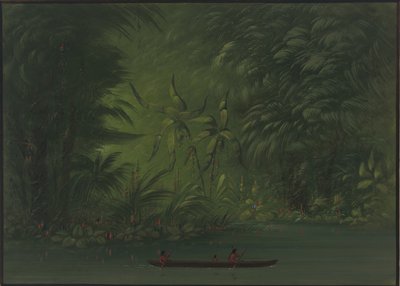 Vchod do laguny, pobřeží Amazonky, 18541869. od George Catlin