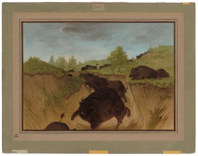 Medvědi grizzly útočí na Buffalo od George Catlin
