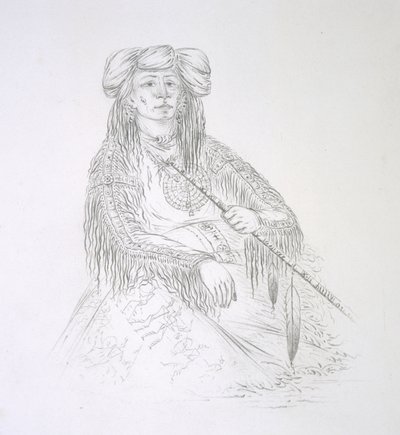 Ha-wan-je-tah (Jeden roh) 1852 od George Catlin