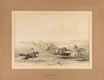 Indiáni loví bizony - č. 29 od George Catlin