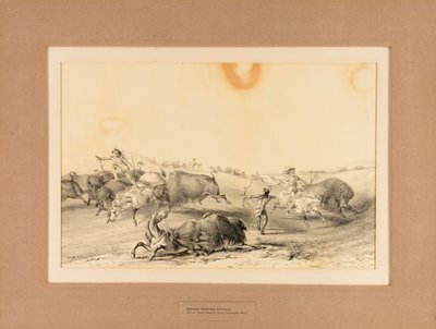Indiáni loví bizony - č. 7 od George Catlin