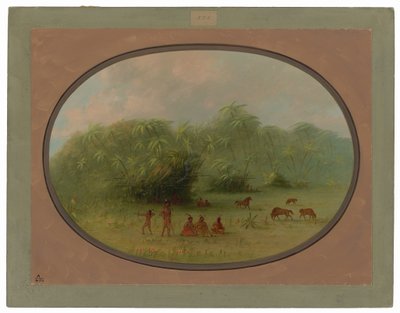 Indiáni a koně v lese od George Catlin