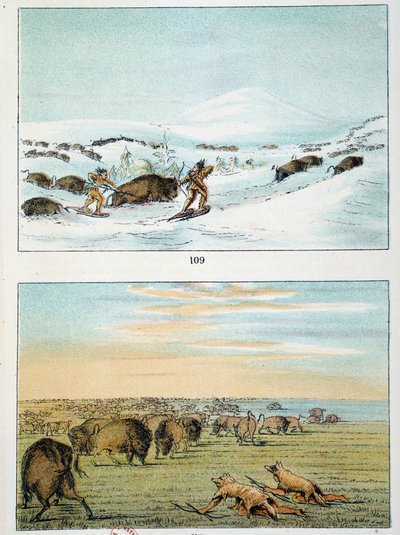 Indiáni z Ameriky. Lov bizonů: Indiáni nosí sněžnice na lov v zimě a v létě se přikrývají vlčí kůží. Ilustrace George Catlin (1794-1872) od George Catlin